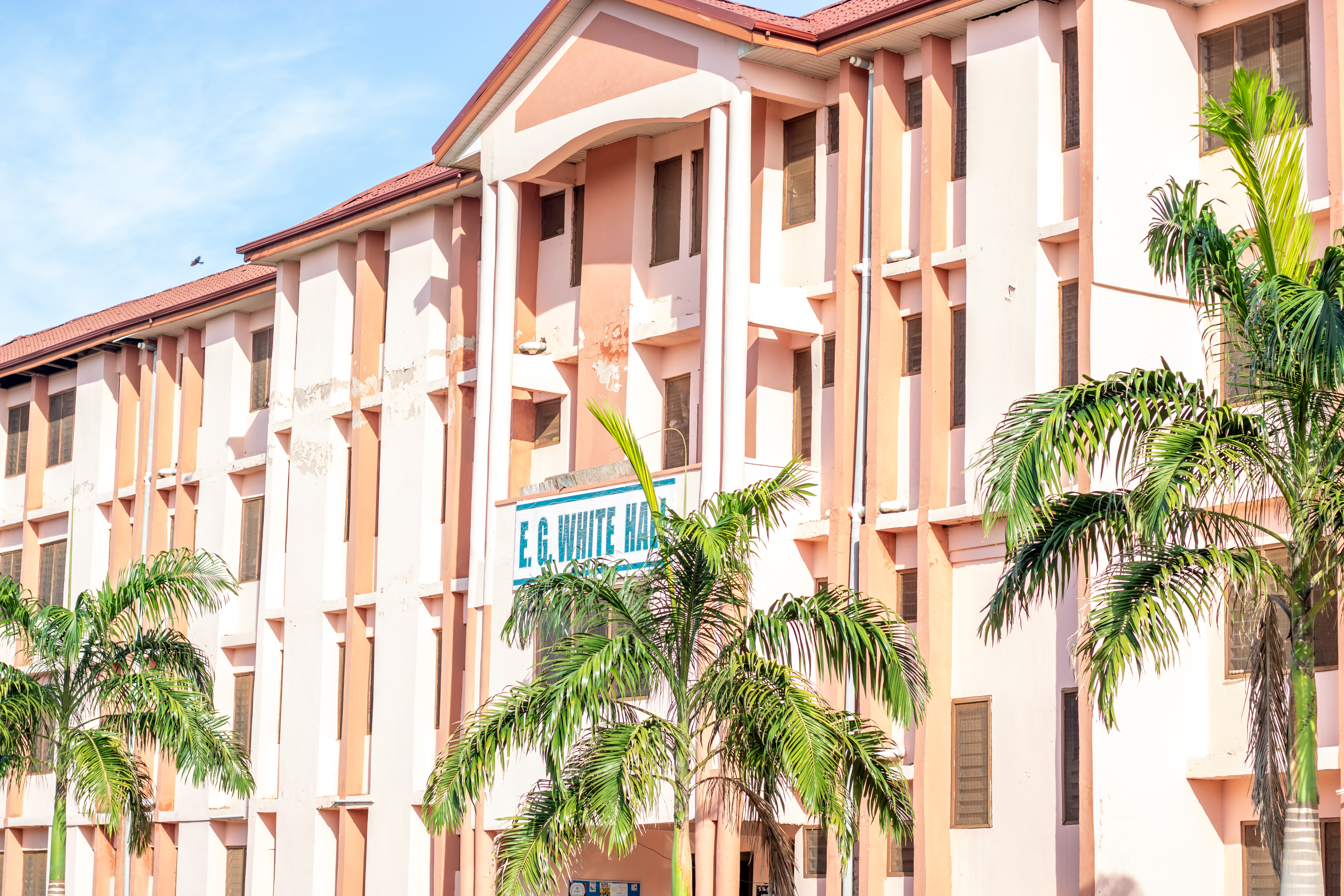 Ellen G. White Hall